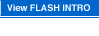 View Flash Intro